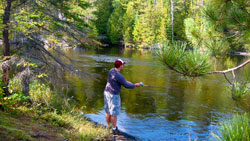 Fishing @ Perch Lake Lodge